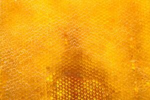 Drop of bee honey drip from hexagonal honeycombs filled with golden nectar photo