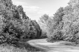 Beautiful empty asphalt road in countryside on dark background photo