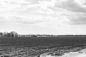 Photography on theme big empty farm field for organic harvest photo