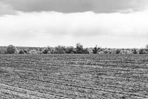 Photography on theme big empty farm field for organic harvest photo