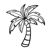 Palm. Doodle icon on white background. vector