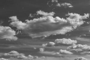 fotografía sobre el tema cielo nublado blanco en un horizonte largo poco claro foto