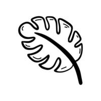 Monstera. Doodle icon on white background. vector