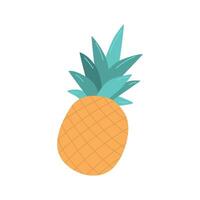A pineapple. Icon on white background vector