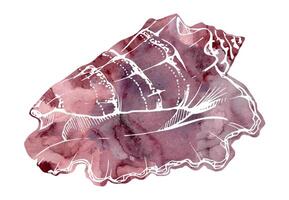 Watercolor and ink hand drawn marine life, sea ocean underwater creatures. fish, shells algae seaweed. Single object illustration, stylized, isolated on white. Zoo shop, aquarium, cosmetics, resort vector