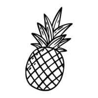 A pineapple. Doodle icon on white background. vector