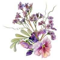 Hand drawn watercolor illustration botanical flowers leaves. Mauve pansy viola violet, willow eucalyptus branch, bergenia heliotrope lungwort, tendrils. Bouquet isolated white. Design wedding, cards vector