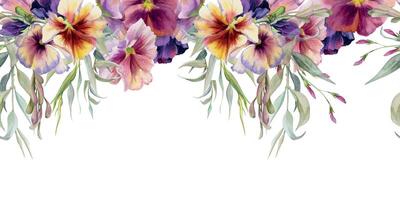 Hand drawn watercolor illustration shabby boho botanical flowers leaves. Pansy viola, willow eucalyptus branch, ash maple keys. Seamless banner isolated on white background. Design wedding, love cards vector