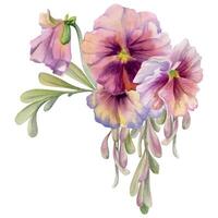 Hand drawn watercolor illustration victorian botanical flowers leaves. Pansy viola violet, ash maple keys seeds, green locust branch. Bouquet isolated on white background. Design wedding, love cards vector