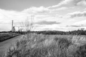 Photography on theme big empty farm field for organic harvest photo