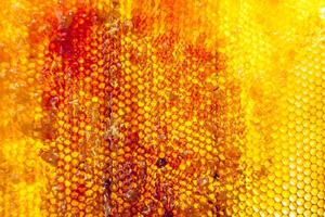 gota de goteo de miel de abeja de panales hexagonales llenos de néctar dorado foto