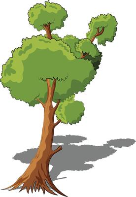 tree with roots
