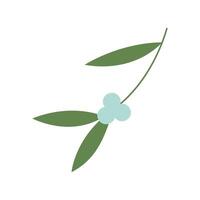 Mistletoe branch with berries and leaves. flat isolated element for design vector