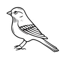 Monochrome Bird Isolated Illustration vector
