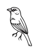 Monochrome Bird Isolated Illustration vector