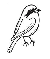 Monochrome Bird Isolated Illustration vector