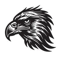 Detailed Eagle Head Illustration vector