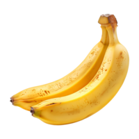 Banane, frisch und beschwingt, isoliert auf transparent Hintergrund png
