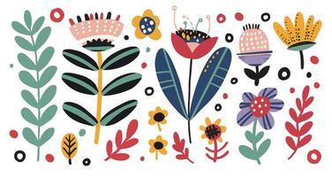 Hand Drawn Botanical Elements Set vector