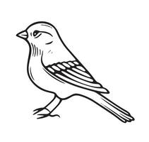 Monochrome Bird Isolated Illustration vector