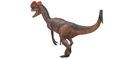 dilophosaurus en un transparente antecedentes png