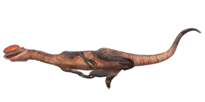 Dilophosaurus on a Transparent Background png