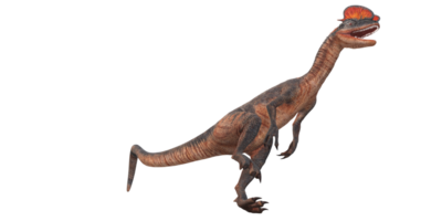 Dilophosaurus on a Transparent Background png