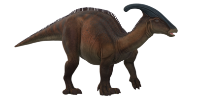 Parasaurolophus on a Transparent Background png