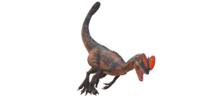 Dilophosaurus auf ein transparent Hintergrund png