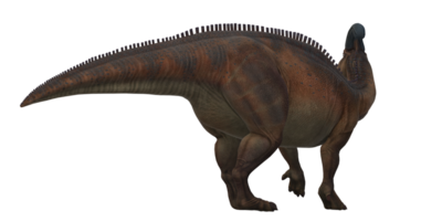 Parasaurolophus on a Transparent Background png