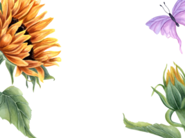 zonnebloem en vlinder. zomer geel oranje bloem met fladderend roze insect. horizontaal wijnoogst kader met kopiëren ruimte voor tekst. waterverf illustratie voor hartelijk groeten, uitnodiging png