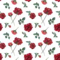 Scarlet rose on stem with buds. Deep red roses and green leaves. Seamless pattern of summer ruby flowers. Realistic blooming plants. Watercolor illustration for wedding design, memorial day, birthday png