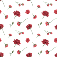 Rose with buds on stem. Deep red, scarlet roses. Seamless pattern of summer ruby flowers. Realistic blooming plants. Watercolor illustration. For wedding design, memorial day, birthday package png