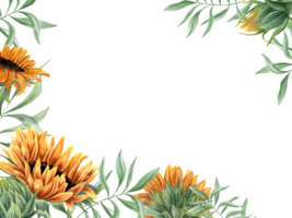 solrosor och grön löv. trädgård blommor och vild blad grenar. blommig horisontell ram med kopia Plats för text. vattenfärg illustration av sommar växter. för hälsning, inbjudan, pappersvaror. png