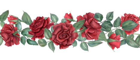 Border with red roses. Ruby flowers and green leaves. Intertwining rose stems with buds. Blooming summer plants. Seamless ornate. Watercolor illustration for wedding design, memorial day decor png