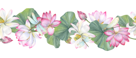 Lotus flower banner. White pink Water Lily, Indian Lotus. Floral seamless pattern. Watercolor illustration of Vietnamese national flowers. For cosmetic design, ayurveda products, textile png
