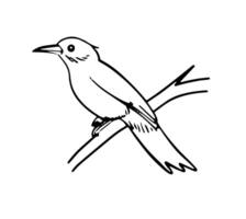 Minimalist Bird Outline Illustration vector