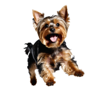 yorkshire terrier dog puppy jumping and running isolated transparent png