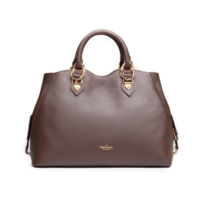 Damen Leder Hand Tasche isoliert auf transparent Hintergrund png