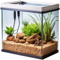 a small aquarium with plants and a white background. png