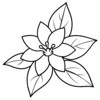 a flower line art illustration vector