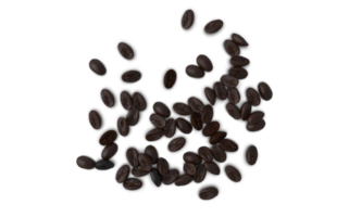 un manojo de café frijoles en un transparente antecedentes png