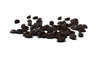 a bunch of coffee beans on a transparent background png