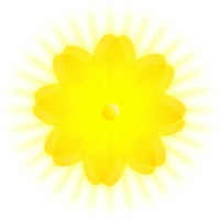 Gold Flower illustration png