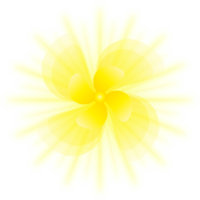 or fleur illustration png