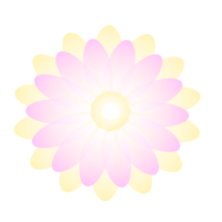 ilustração de flor rosa png