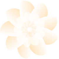 illustration de fleur d'oranger png