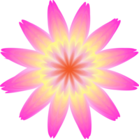 acuarela flor ilustración verano png