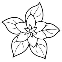 a flower line art illustration vector