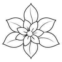 a flower line art illustration vector